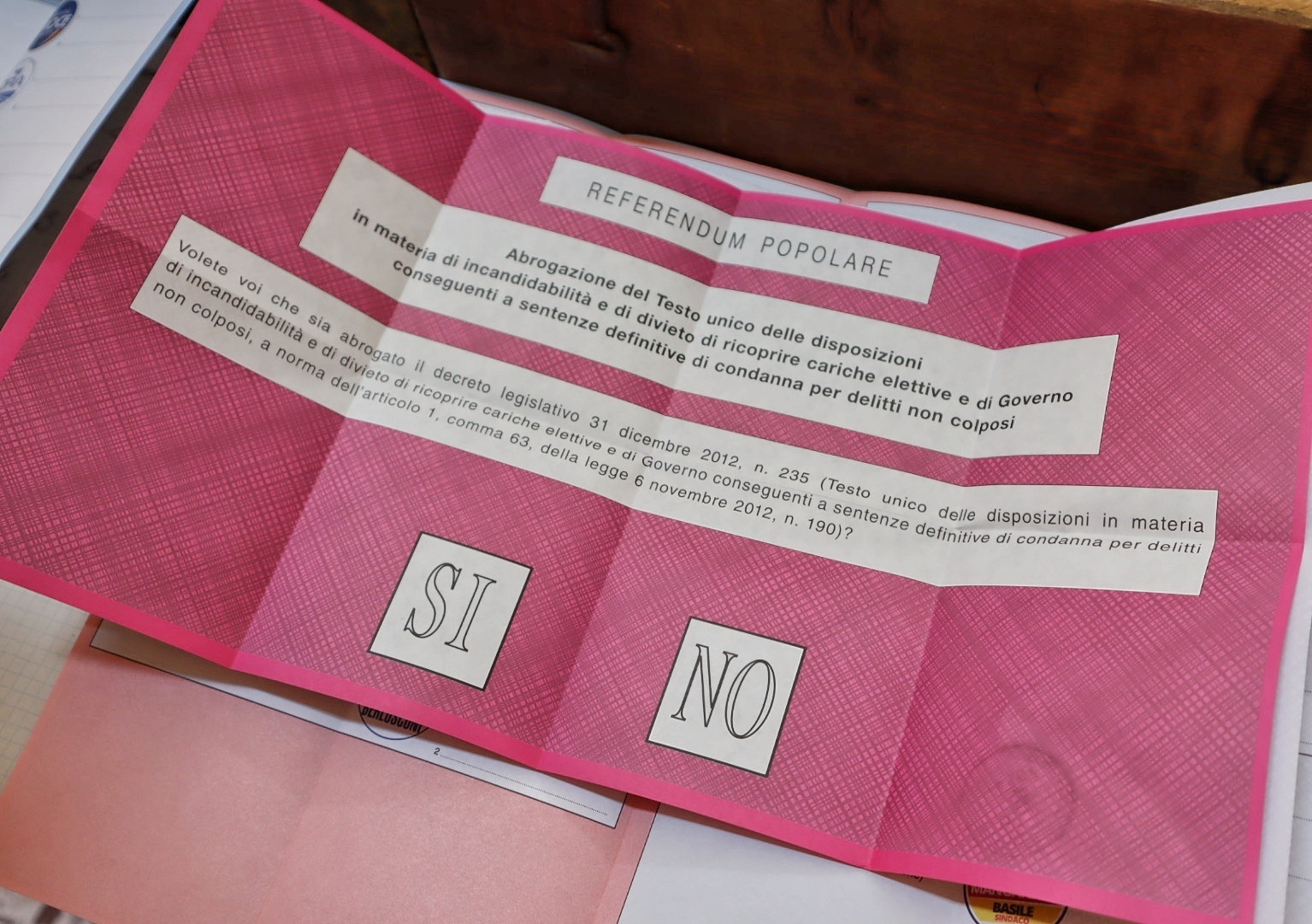 elezioni referendum 2022 (3)