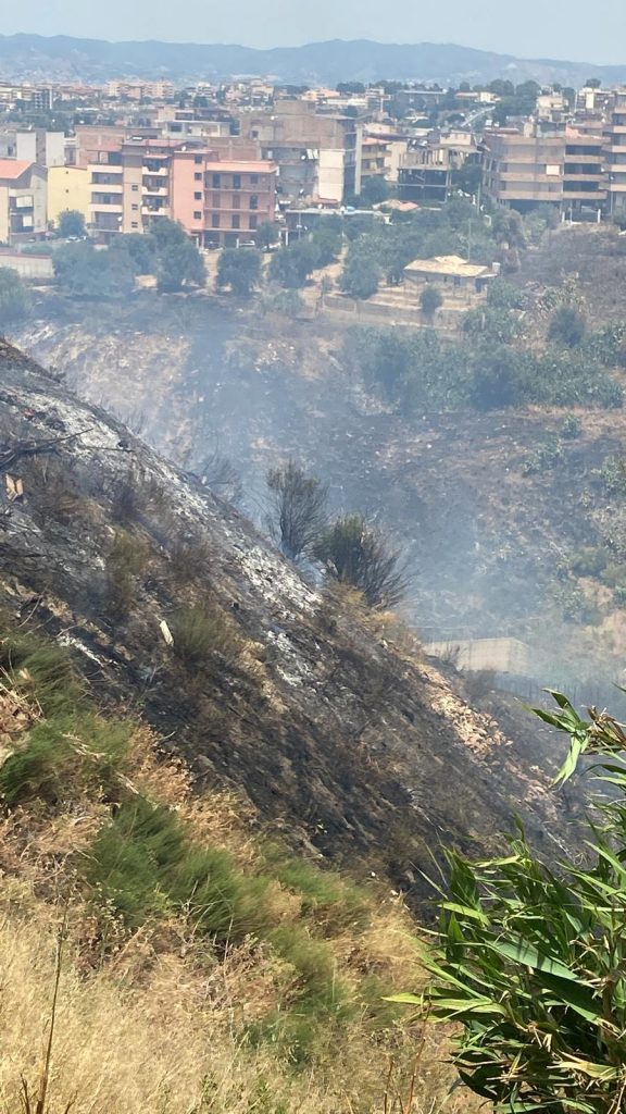 incendi reggio calabria