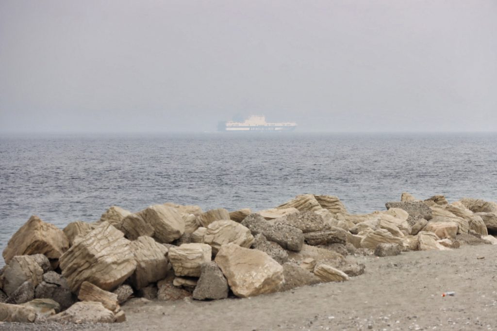 lupa Stretto di Messina