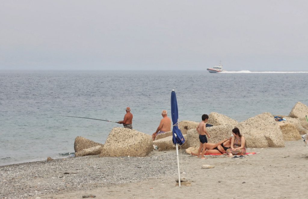 lupa Stretto di Messina
