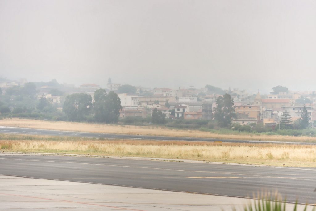 lupa Stretto di Messina