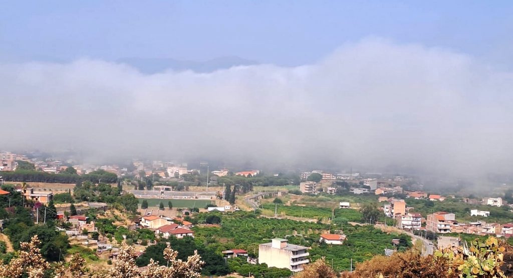 lupa Stretto di Messina