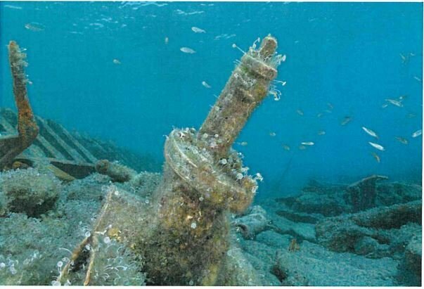 piroscafo torino melito di porto salvo