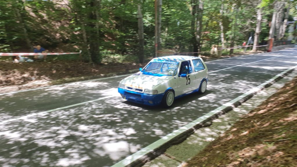 vetture cronoscalata santo stefano gambarie