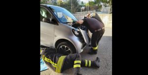 vigili del fuoco messina salvano gatto