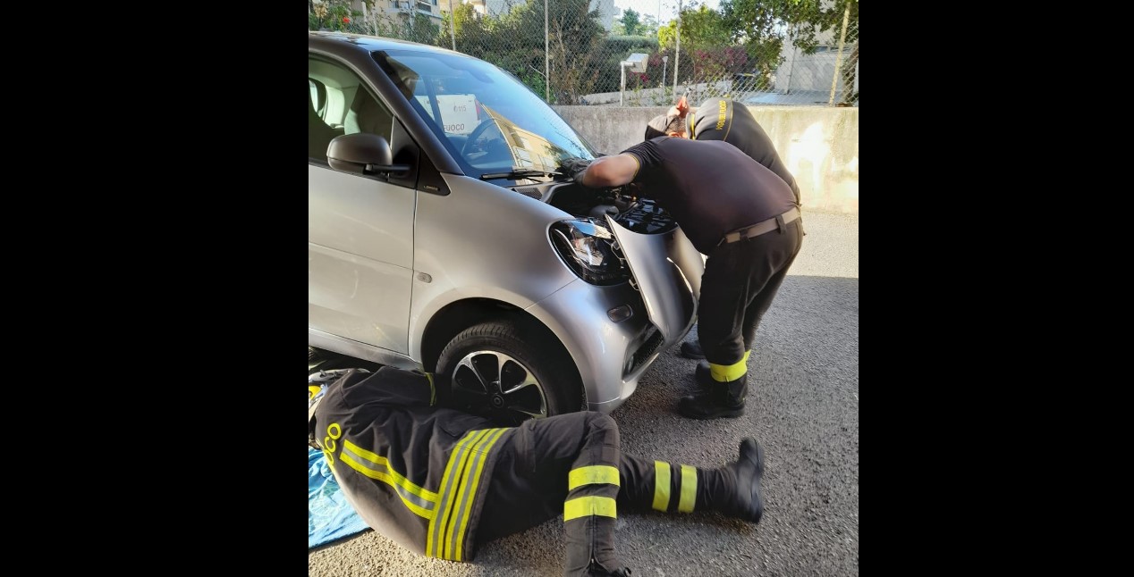 vigili del fuoco messina salvano gatto