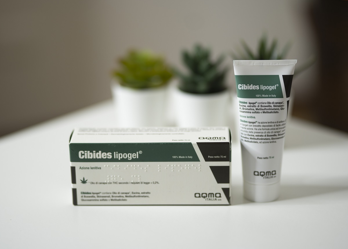 CIBIDES