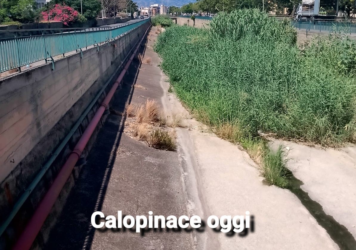 calopinace reggio calabria