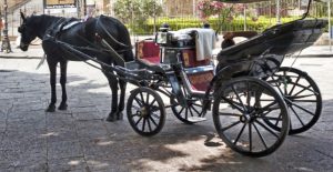 carrozza trainata da cavallo