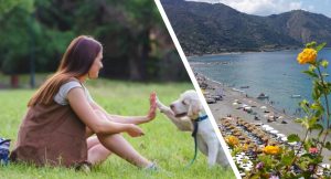 gioiosa marea divieto ingresso cane spiaggia e parchi