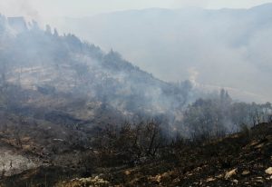 incendio gesso messina