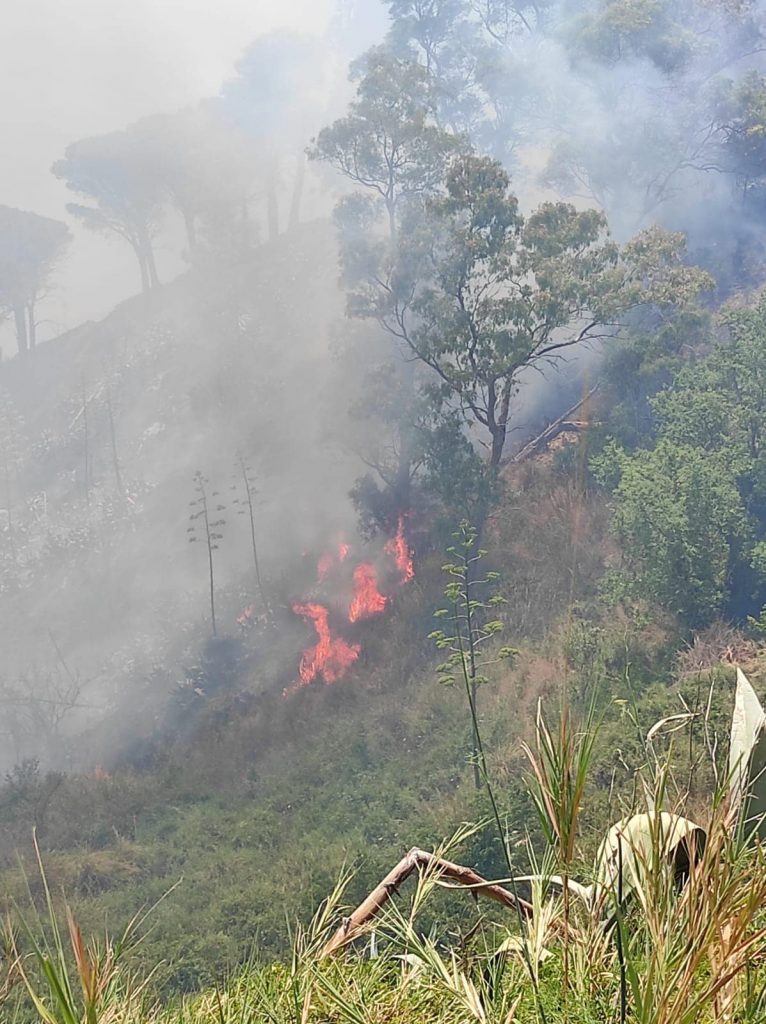 incendio gesso messina