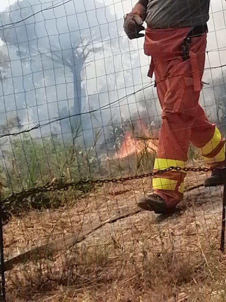 incendio gesso messina