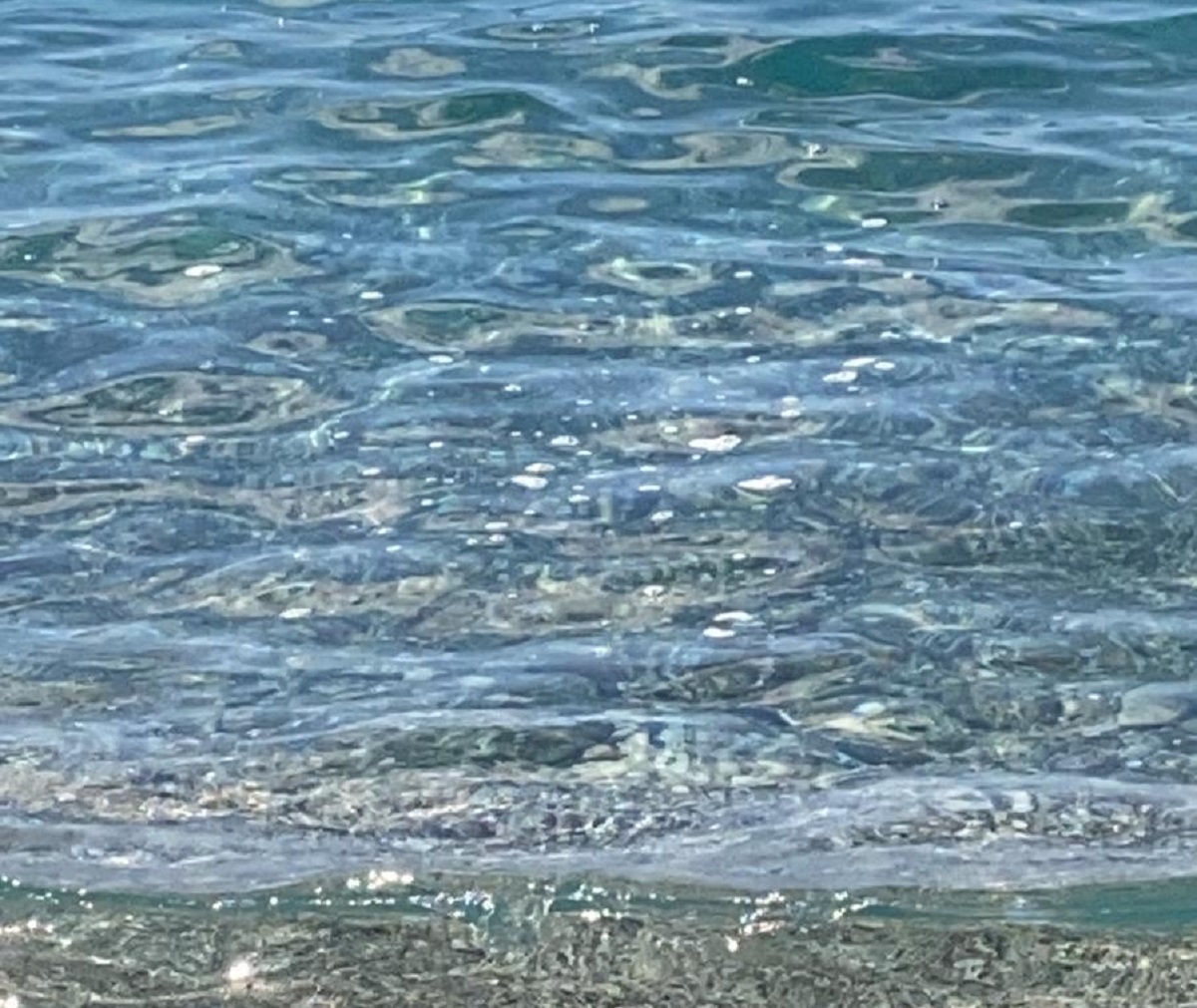 mare sporco marina san lorenzo (4)