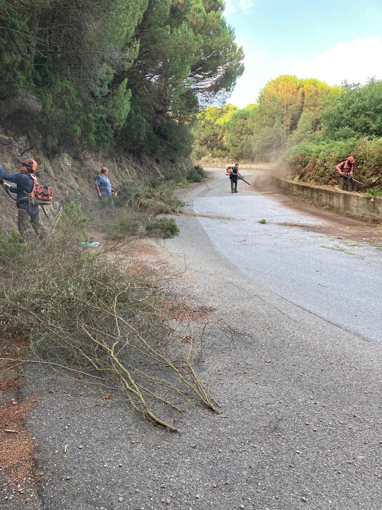 Messina, un gruppo di cittadini ripulisce 3 km di strada