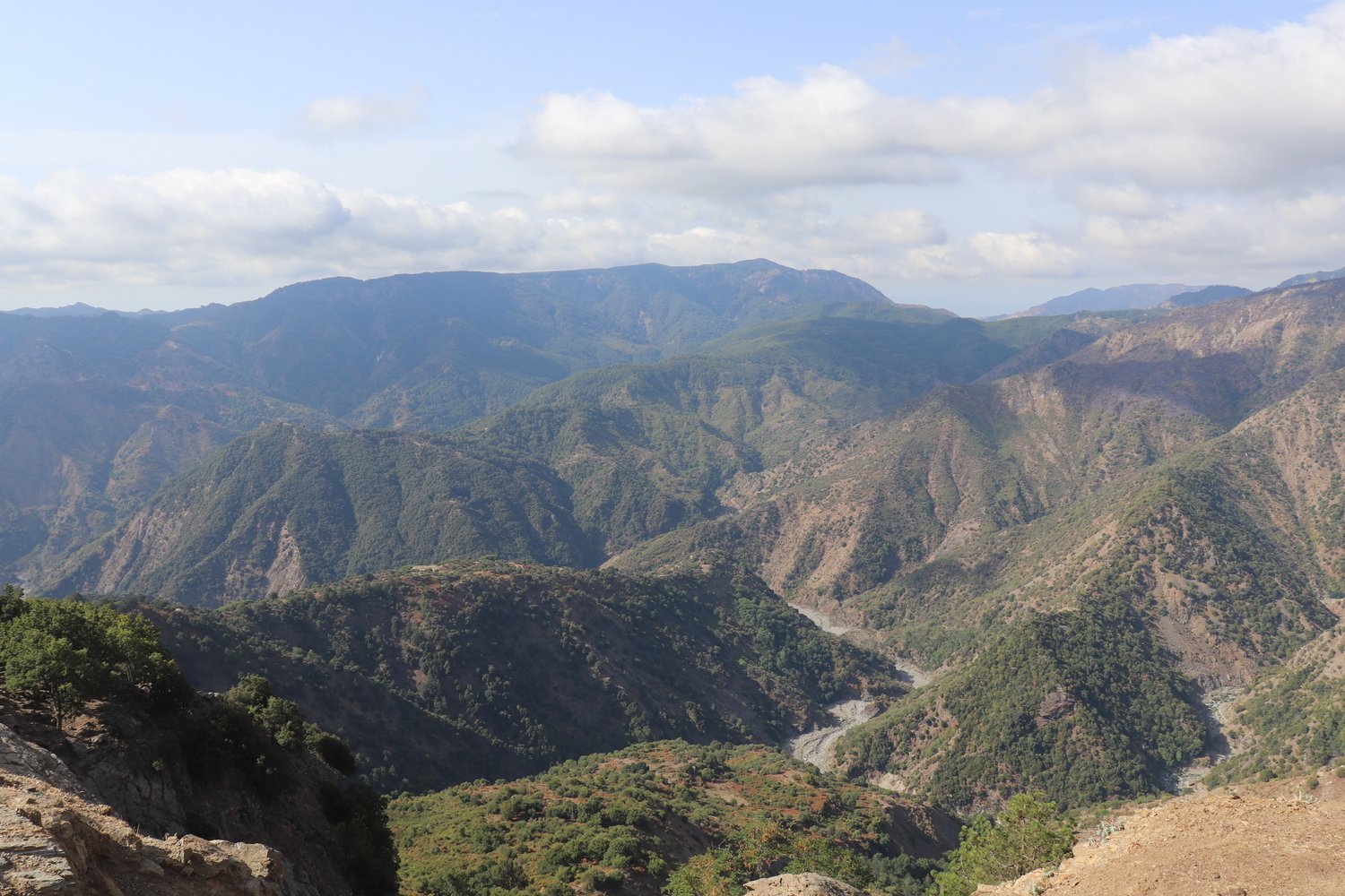 Panoramica africo