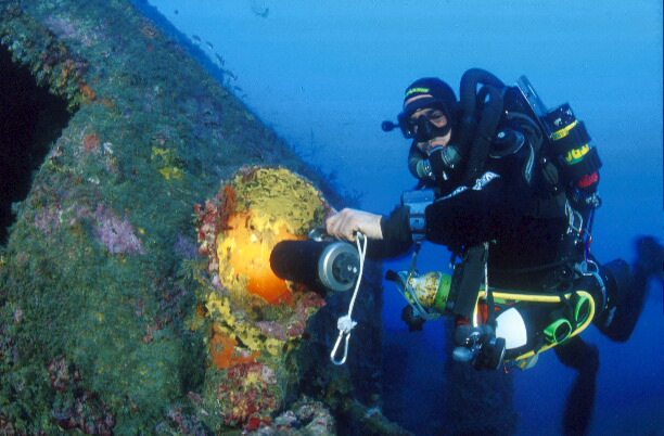 Palmi, il 28 agosto la celebrazione dei 22 anni dal ritrovamento del