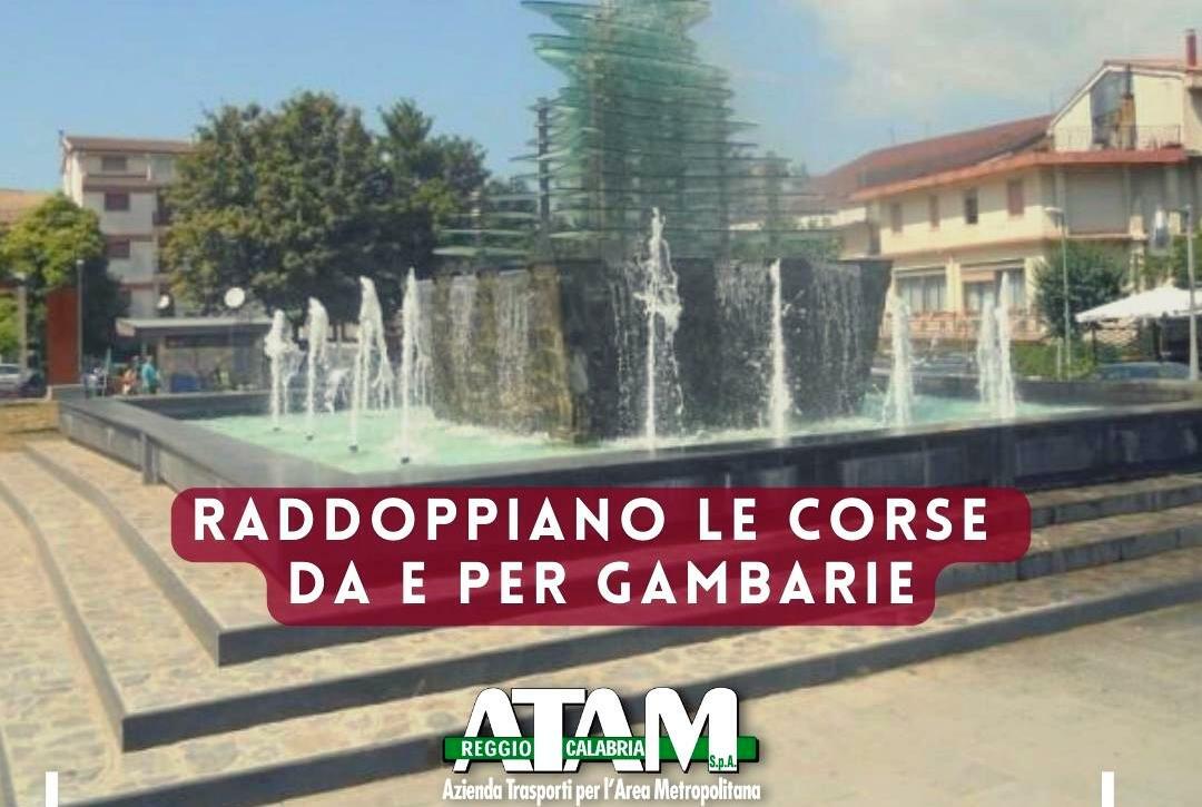 atam bus gambarie