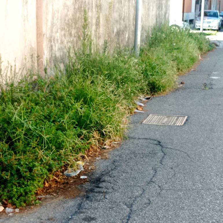 cacciotto strade sporche