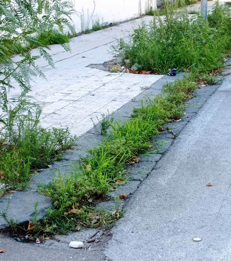 cacciotto strade sporche