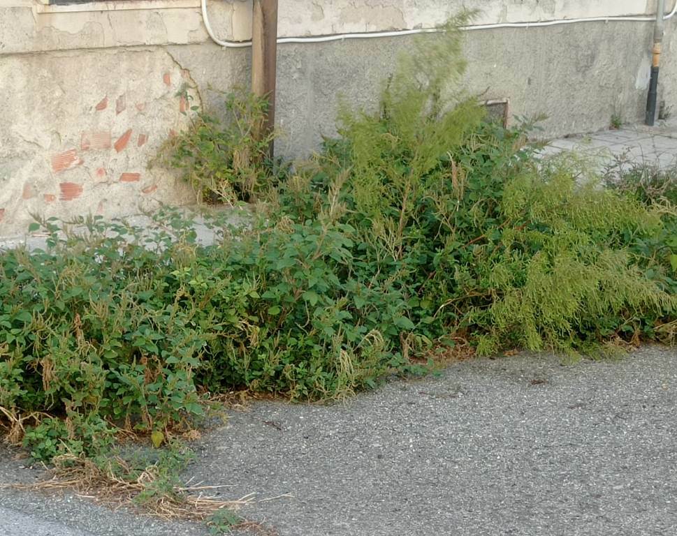 cacciotto strade sporche