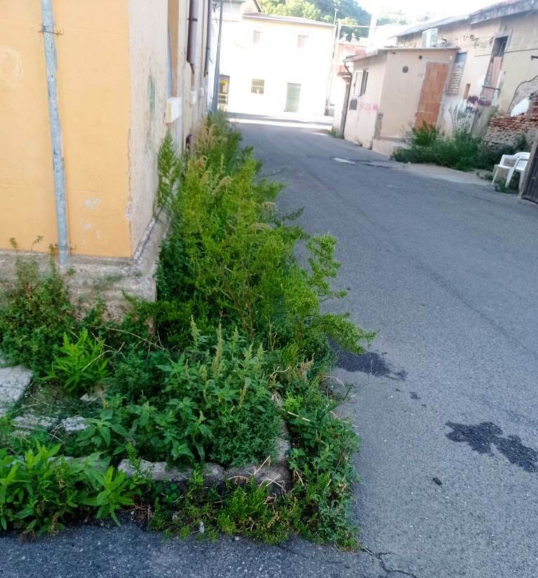 cacciotto strade sporche
