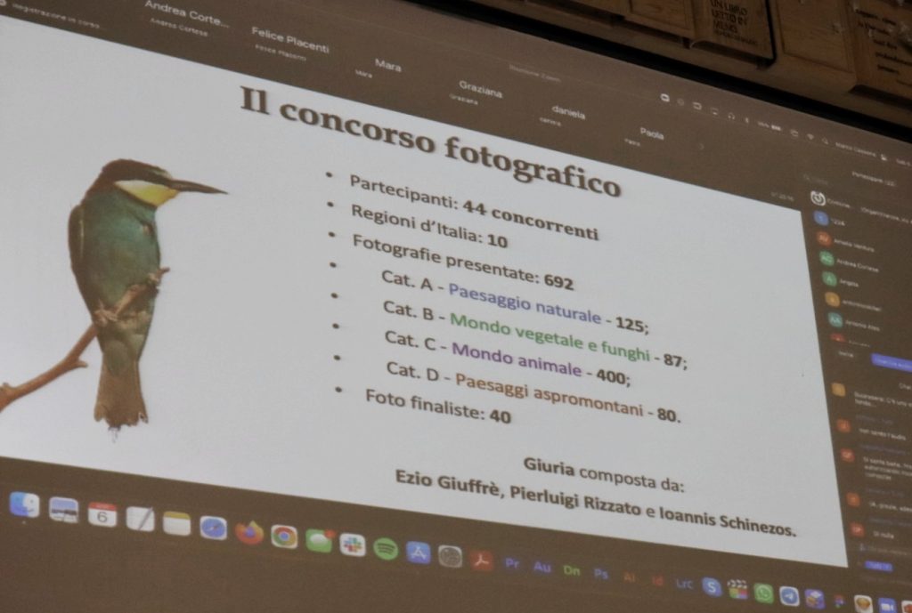 concorso fotografico Sergio Tralongo