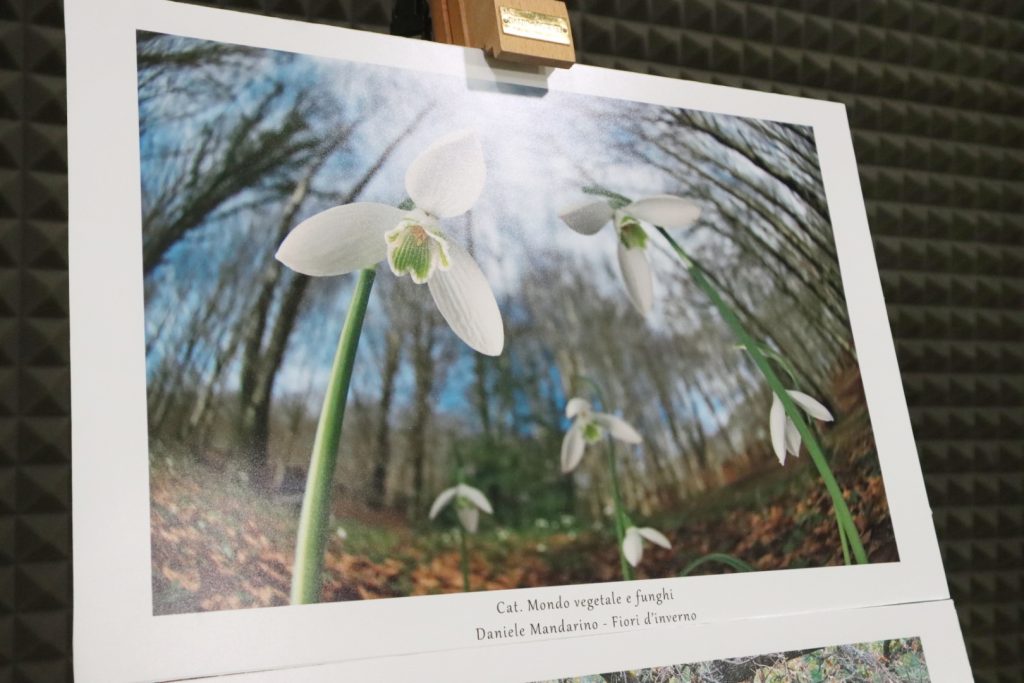 concorso fotografico Sergio Tralongo