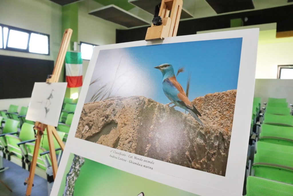 concorso fotografico Sergio Tralongo