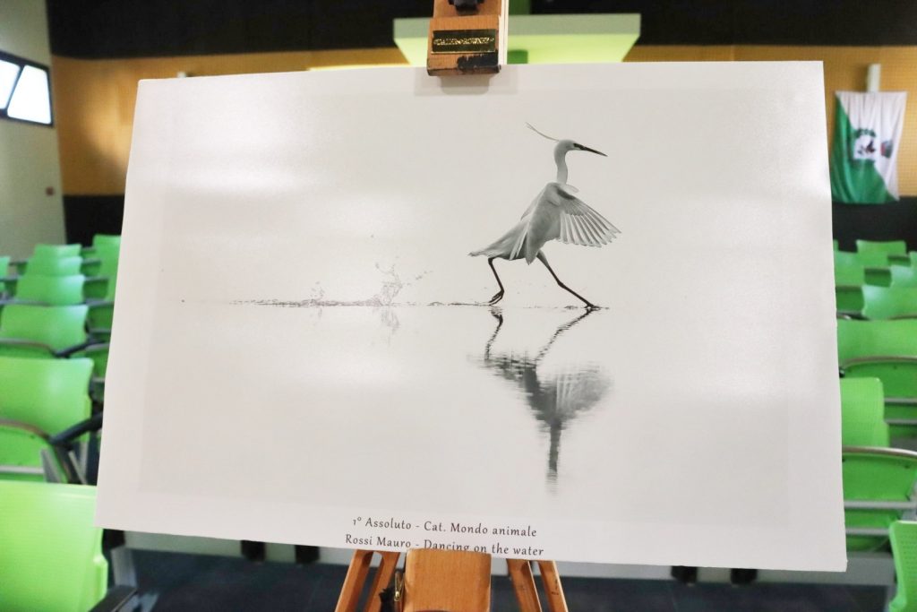 concorso fotografico Sergio Tralongo