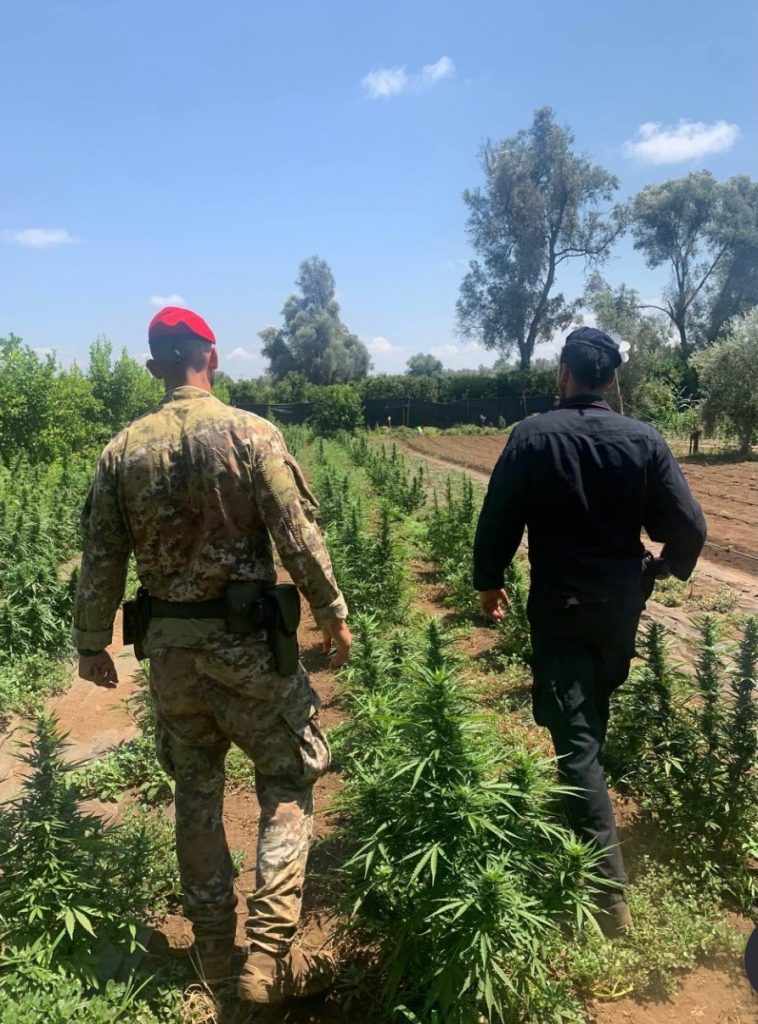 controlli carabinieri droga
