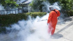 disinfestazione-blatte-messina