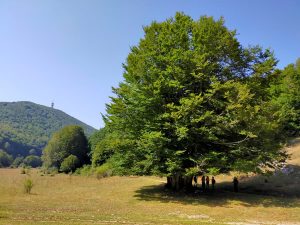 montagna