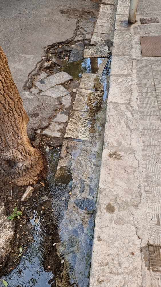 perdite idriche centro reggio calabria