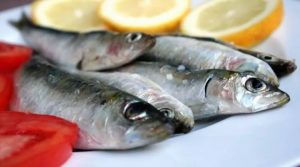 sagra pesce azzurro