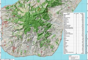 mappa incendi 2022 reggio calabria