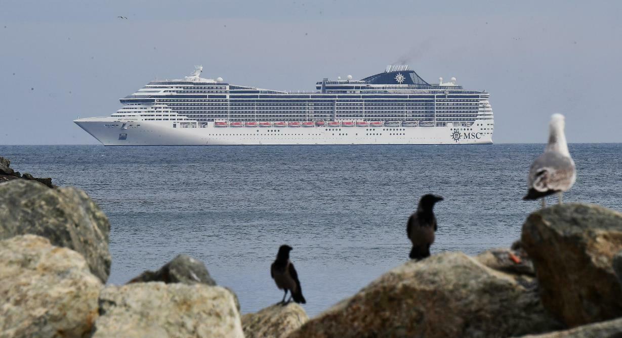 msc splendida