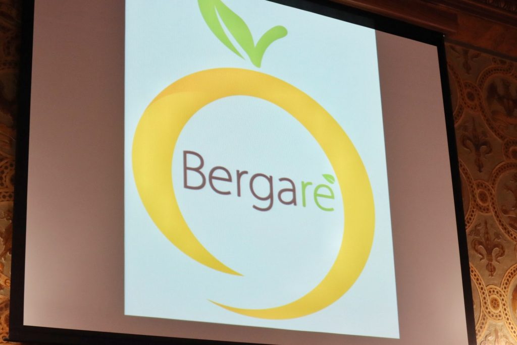 Bergarè