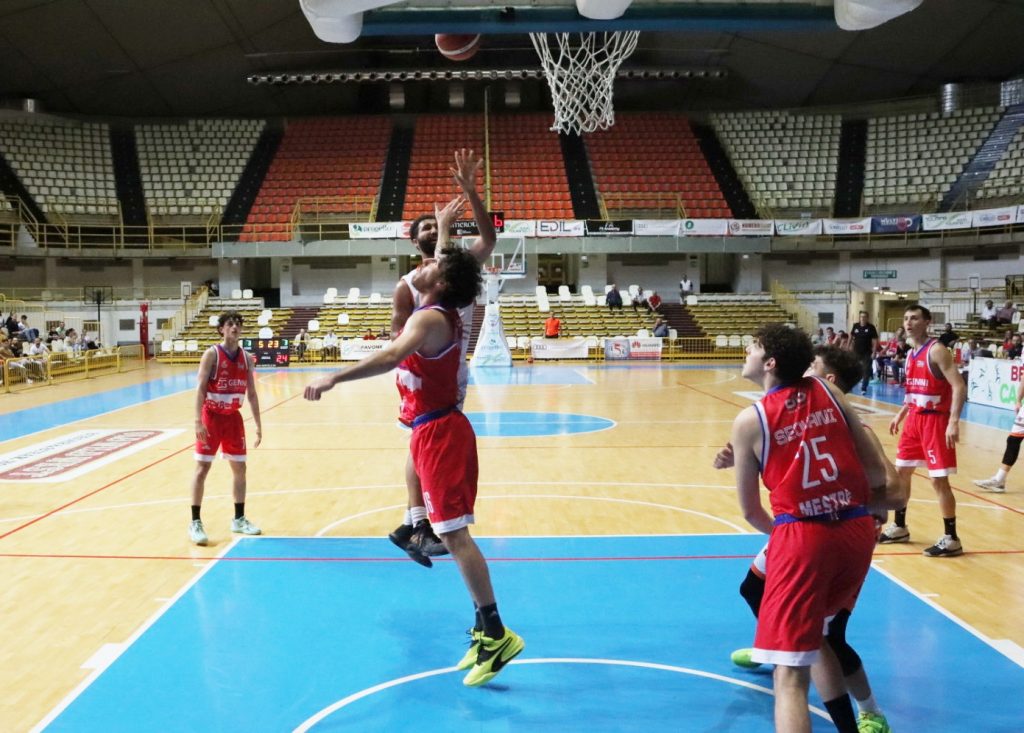 Pallacanestro Viola