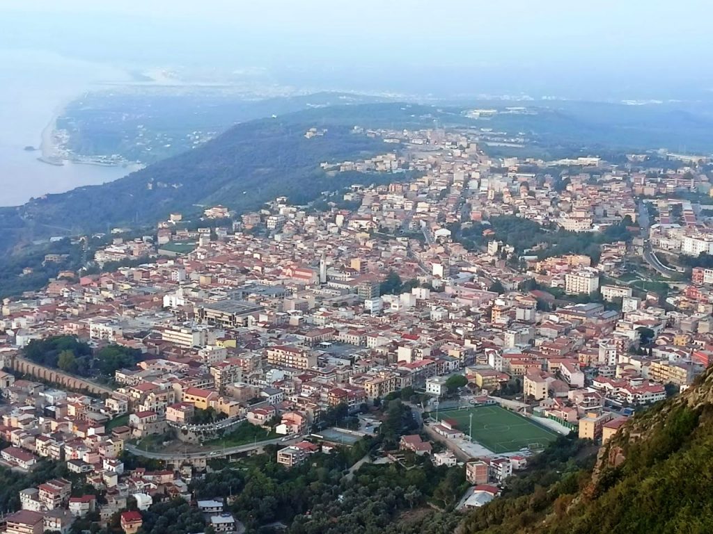 Palmi dall'alto