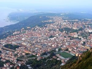Palmi dall'alto