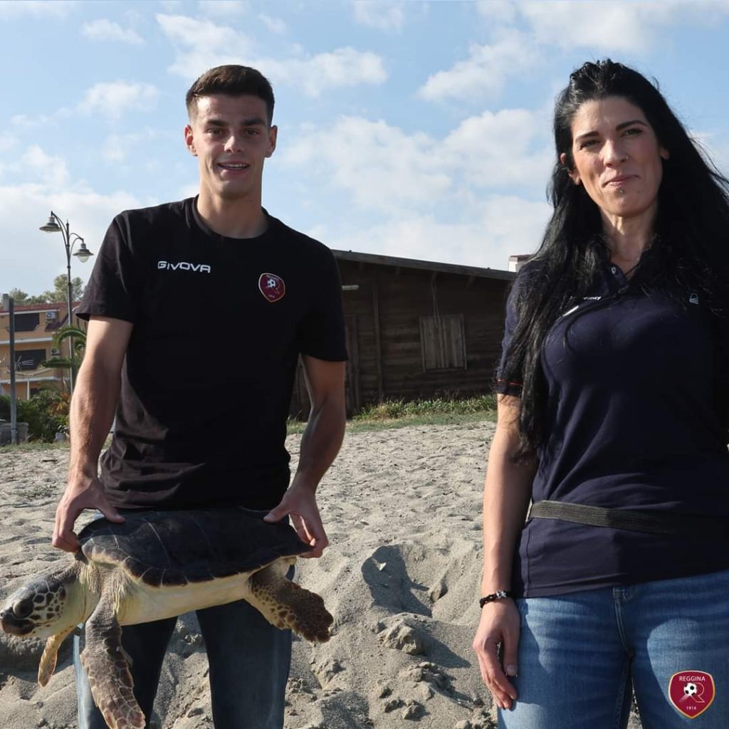 Pierozzi tartaruga Reggina