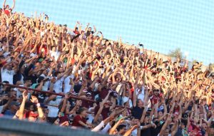Reggina-Cosenza Curva Sud tifosi Granillo ola