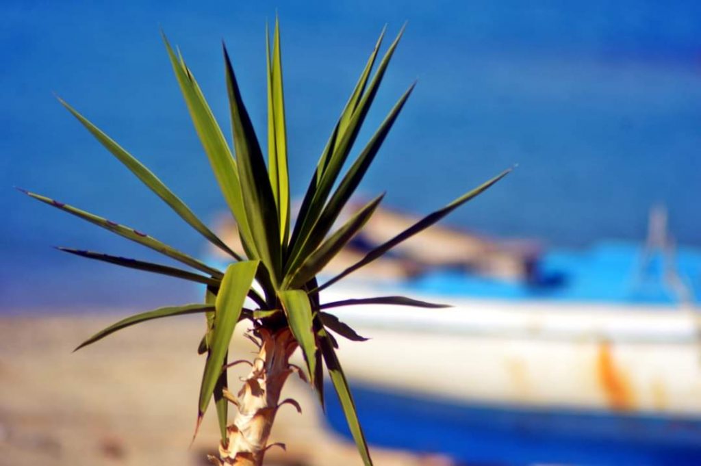 Sole Stretto Messina