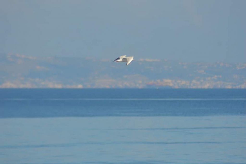 Sole Stretto Messina