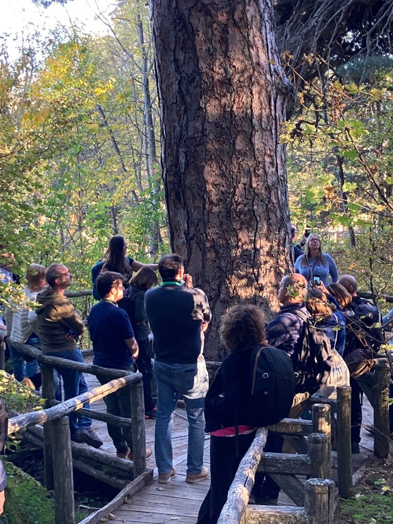 XII Convenzione Europea della Montagna