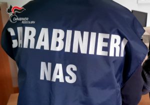 carabinieri nas reggio calabria