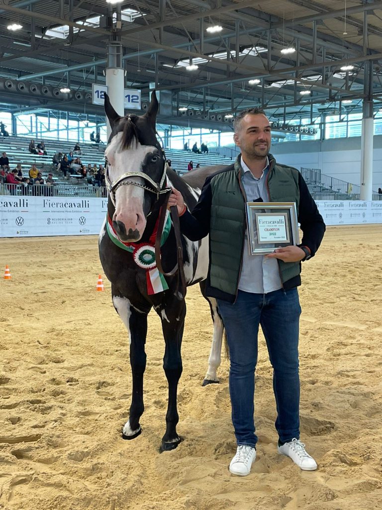 Carmelo Scaramozzino cavallo Paint Horse