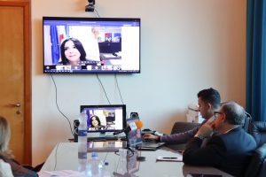 Webinar Ponte sullo Stretto Messina