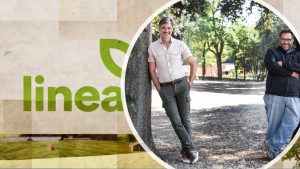 linea verde